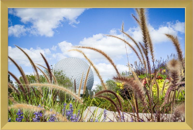 Spaceship Earth - EPCOT from the Gardens