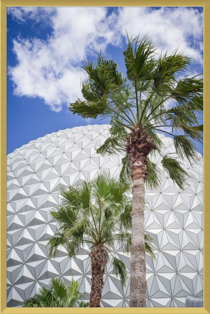 Spaceship Earth with Palms - A Tropical View of EPCOT