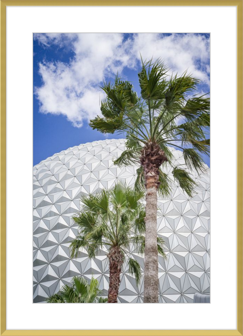 Spaceship Earth with Palms - A Tropical View of EPCOT