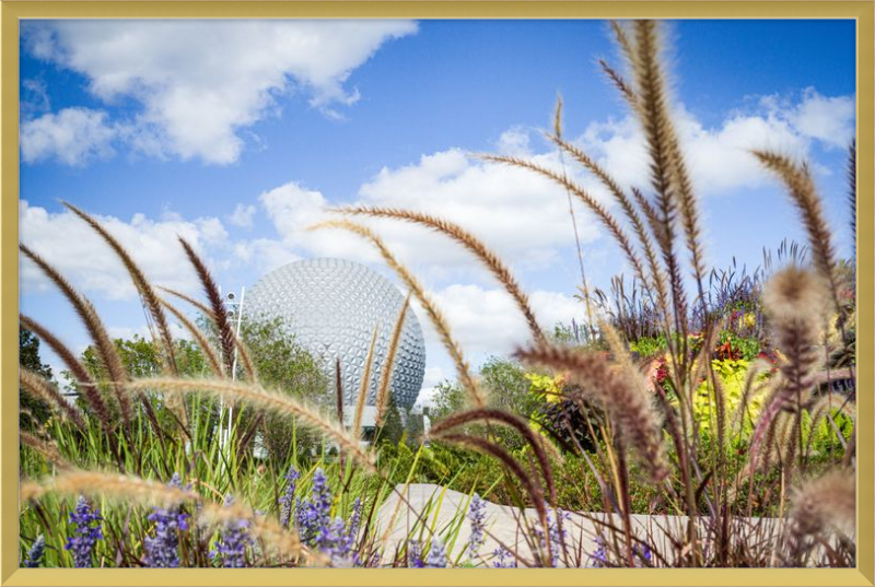 Spaceship Earth - EPCOT from the Gardens