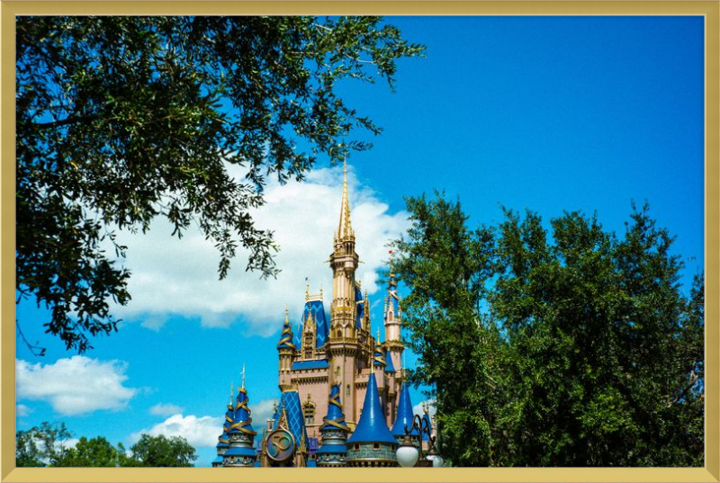 Cinderella Castle - Nature’s Frame