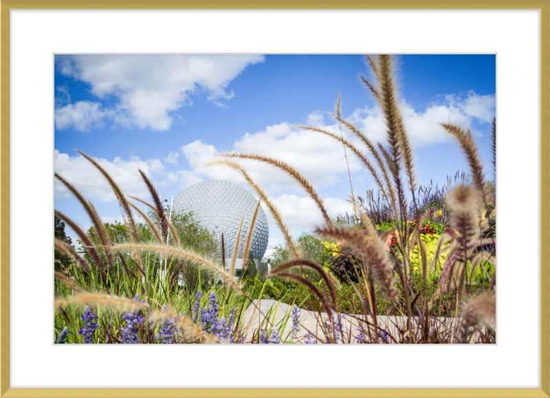 Spaceship Earth - EPCOT from the Gardens