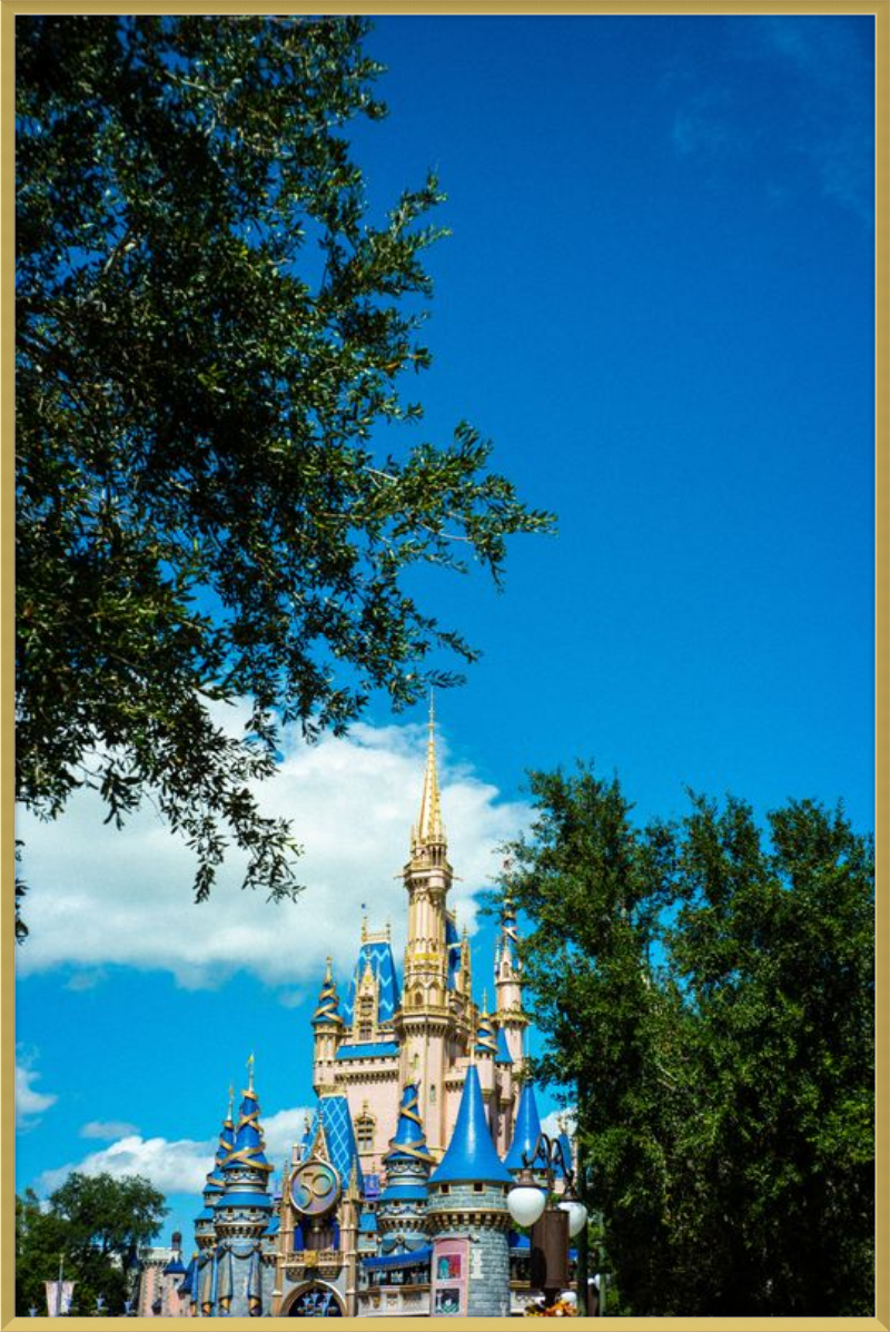 Cinderella Castle - A Magical View