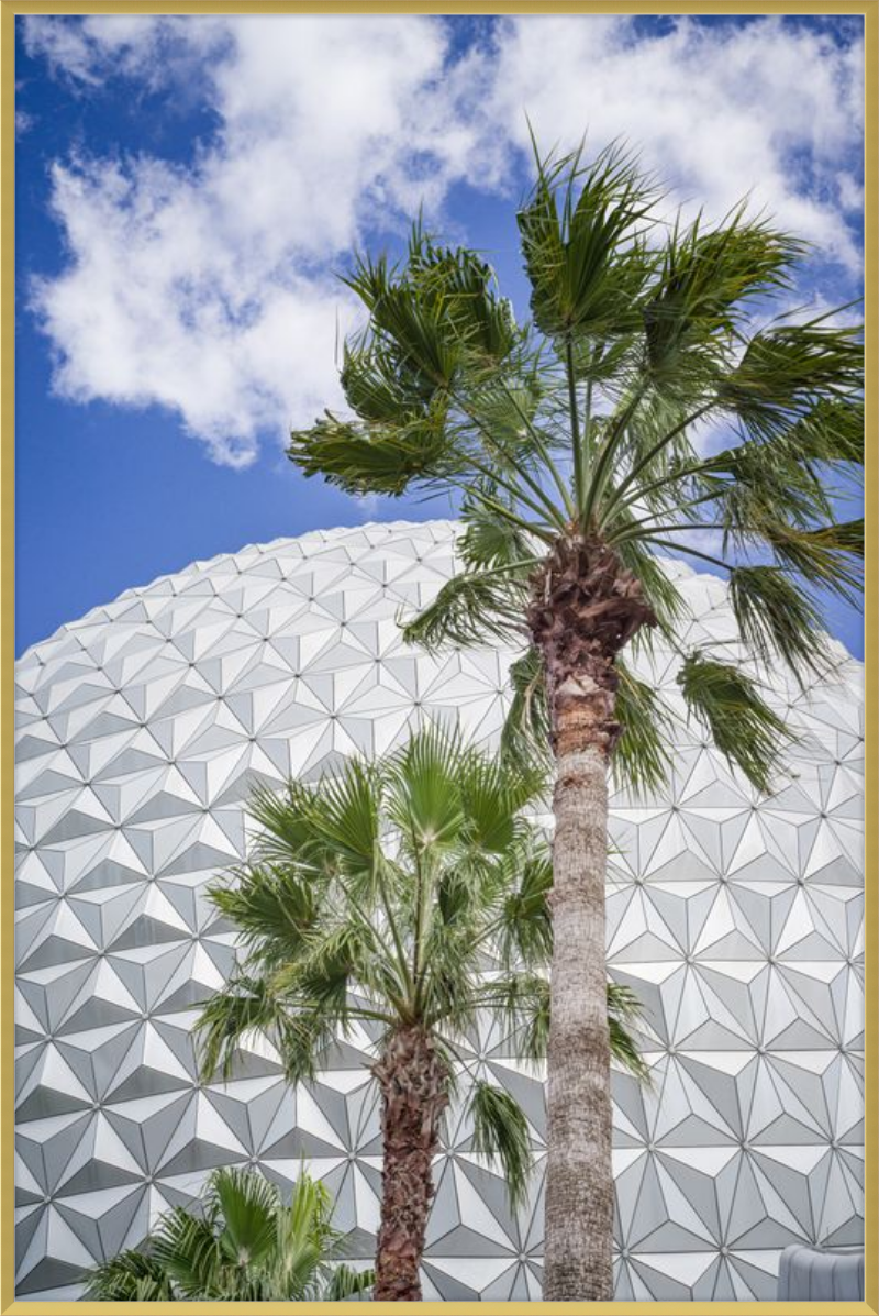 Spaceship Earth with Palms - A Tropical View of EPCOT