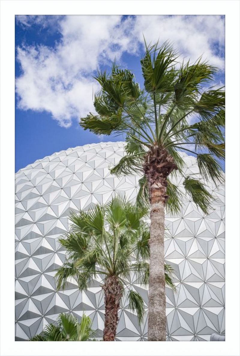 Spaceship Earth with Palms - A Tropical View of EPCOT