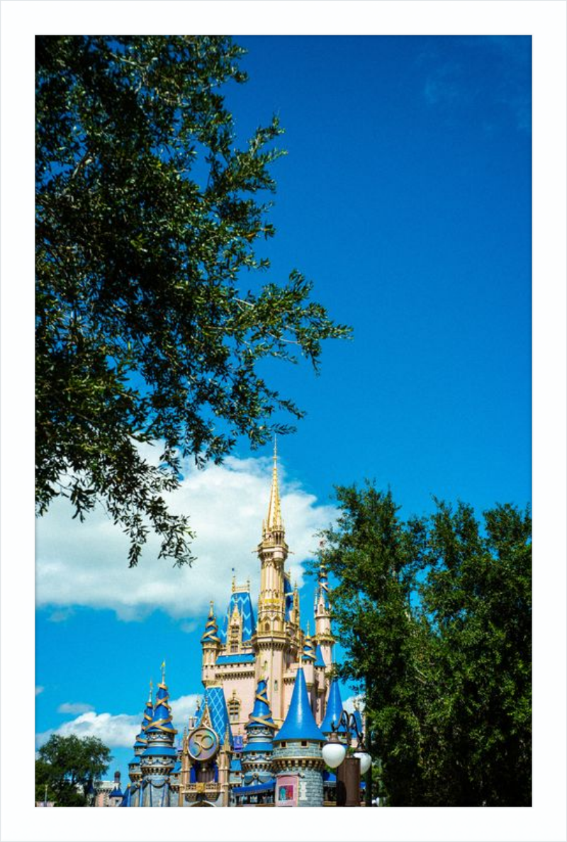 Cinderella Castle - A Magical View