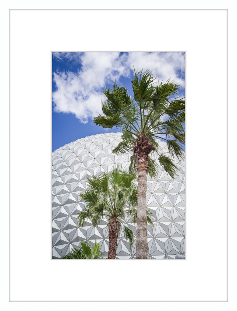 Spaceship Earth with Palms - A Tropical View of EPCOT