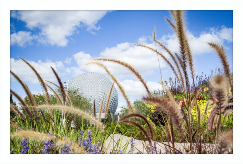 Spaceship Earth - EPCOT from the Gardens