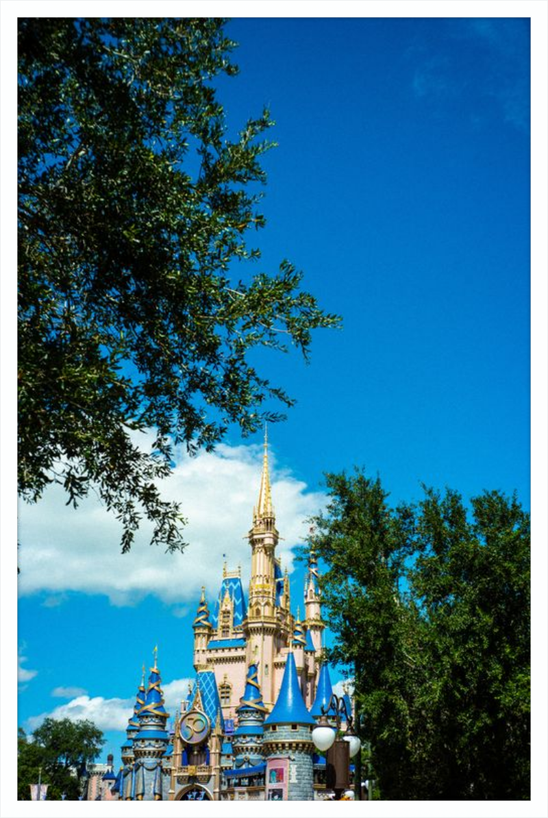 Cinderella Castle - A Magical View