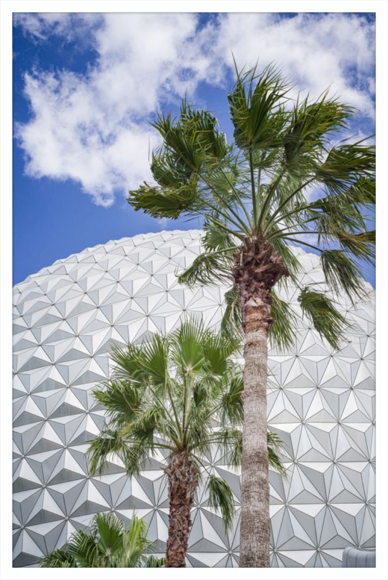 Spaceship Earth with Palms - A Tropical View of EPCOT