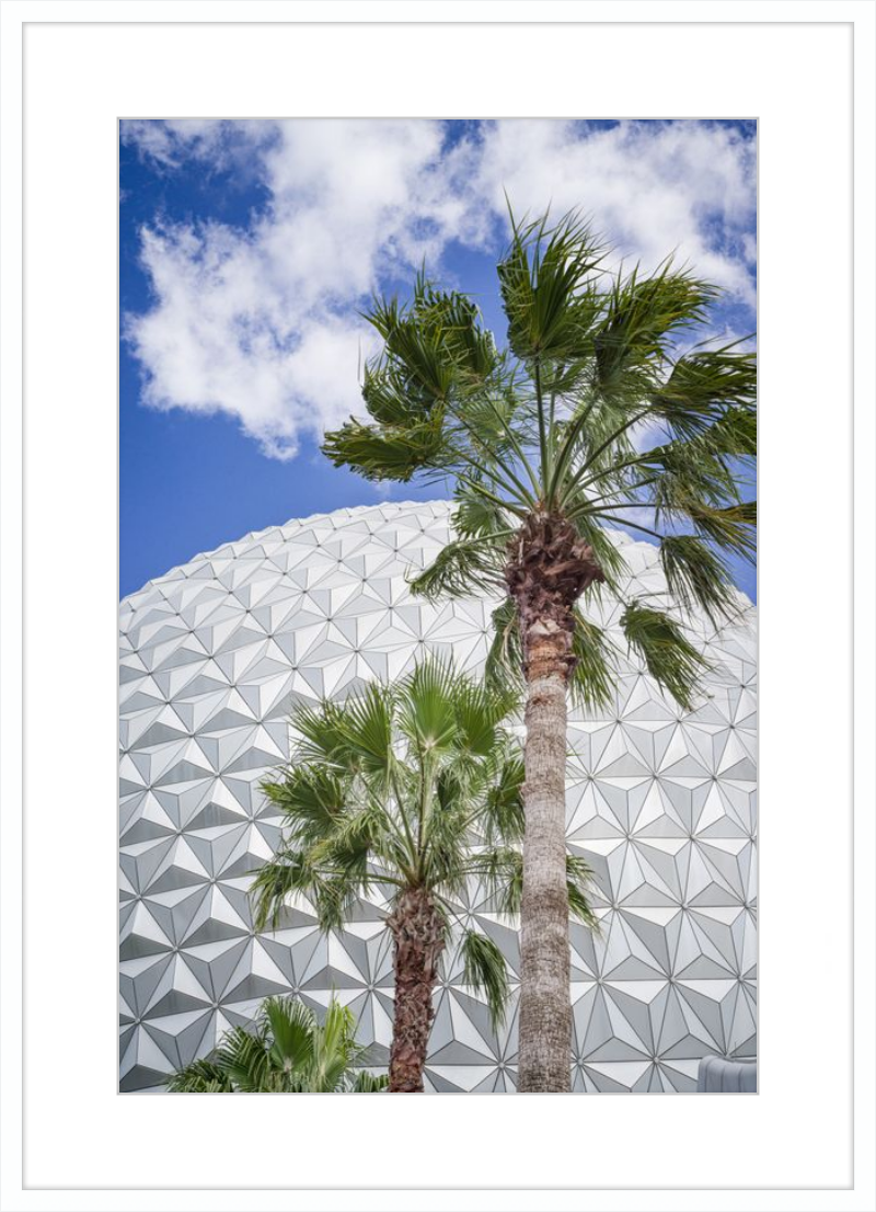 Spaceship Earth with Palms - A Tropical View of EPCOT