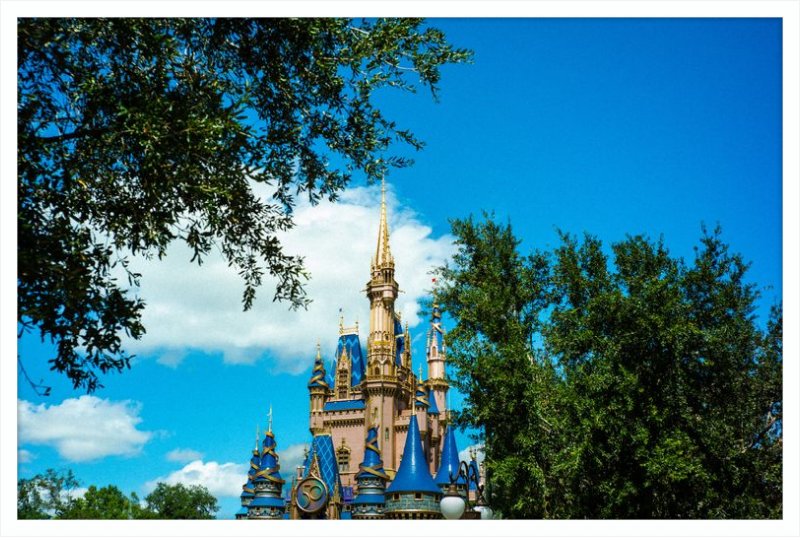 Cinderella Castle - Nature’s Frame