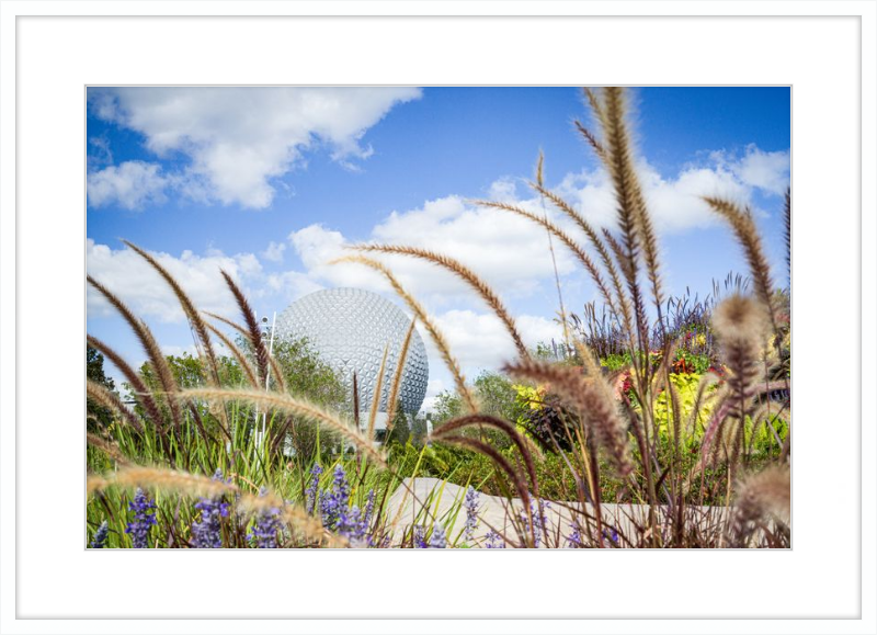 Spaceship Earth - EPCOT from the Gardens