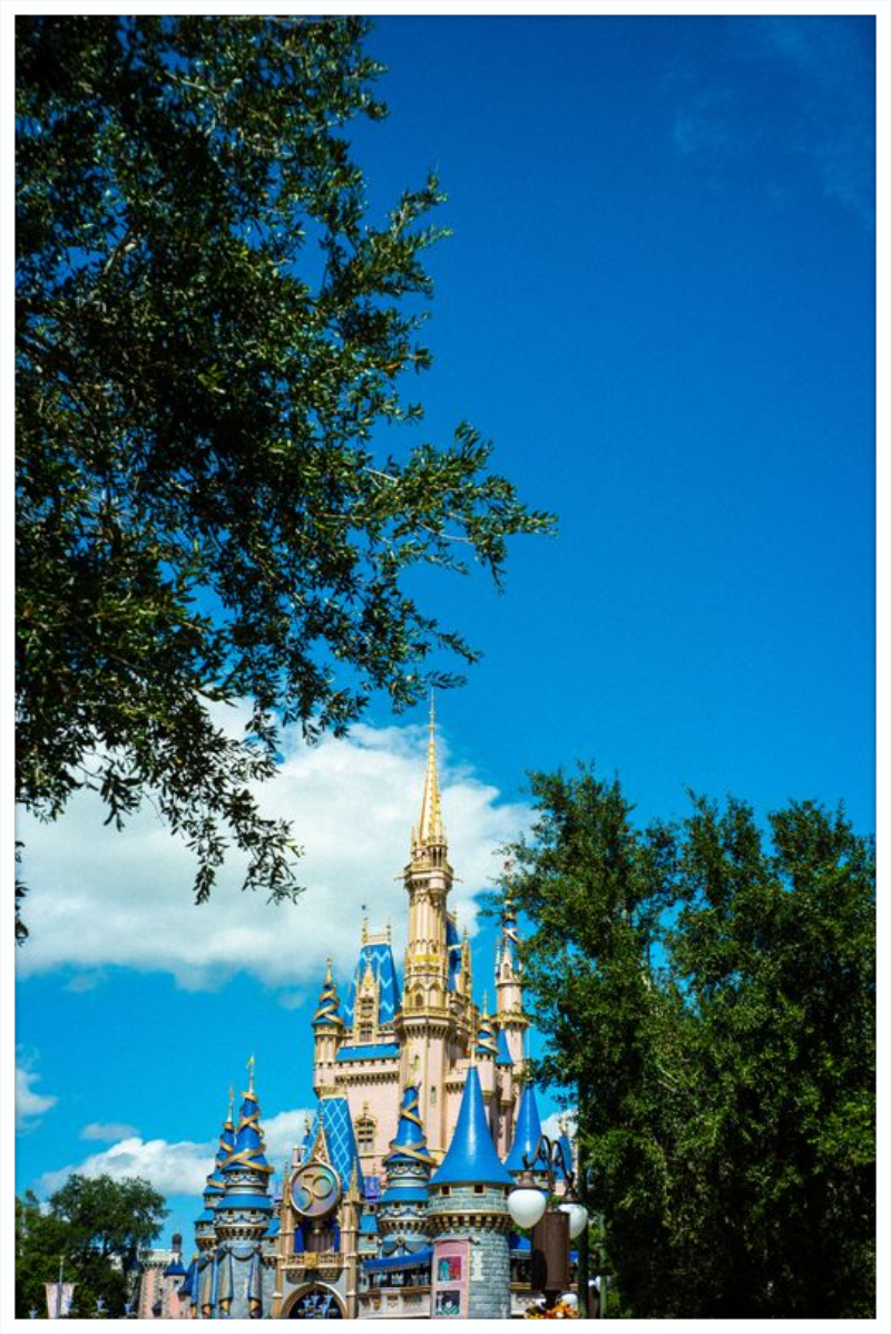 Cinderella Castle - A Magical View