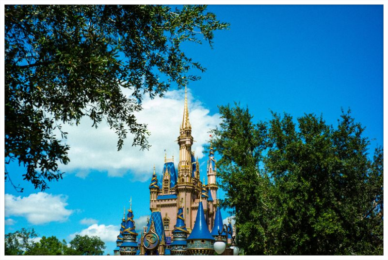 Cinderella Castle - Nature’s Frame