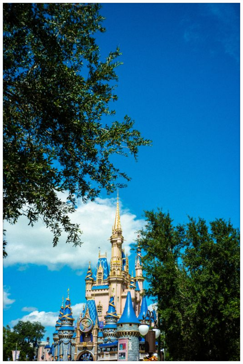 Cinderella Castle - A Magical View