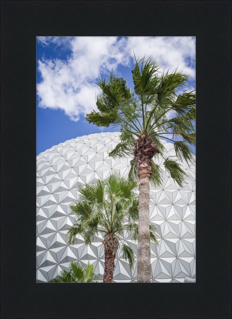 Spaceship Earth with Palms - A Tropical View of EPCOT