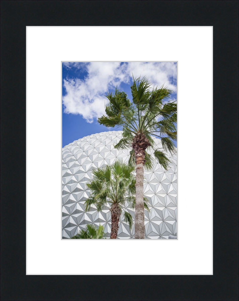 Spaceship Earth with Palms - A Tropical View of EPCOT