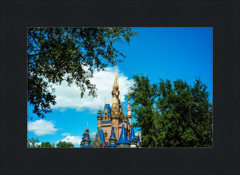 Cinderella Castle - Nature’s Frame