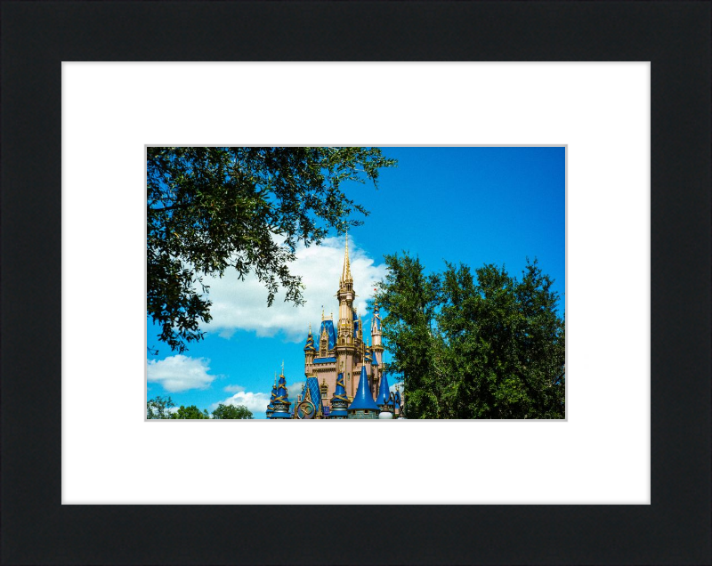 Cinderella Castle - Nature’s Frame