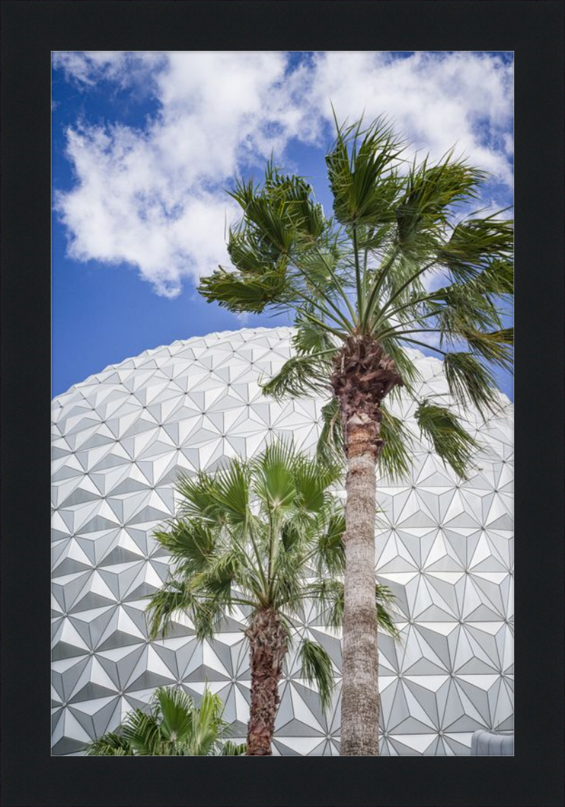 Spaceship Earth with Palms - A Tropical View of EPCOT