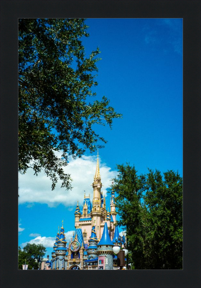 Cinderella Castle - A Magical View