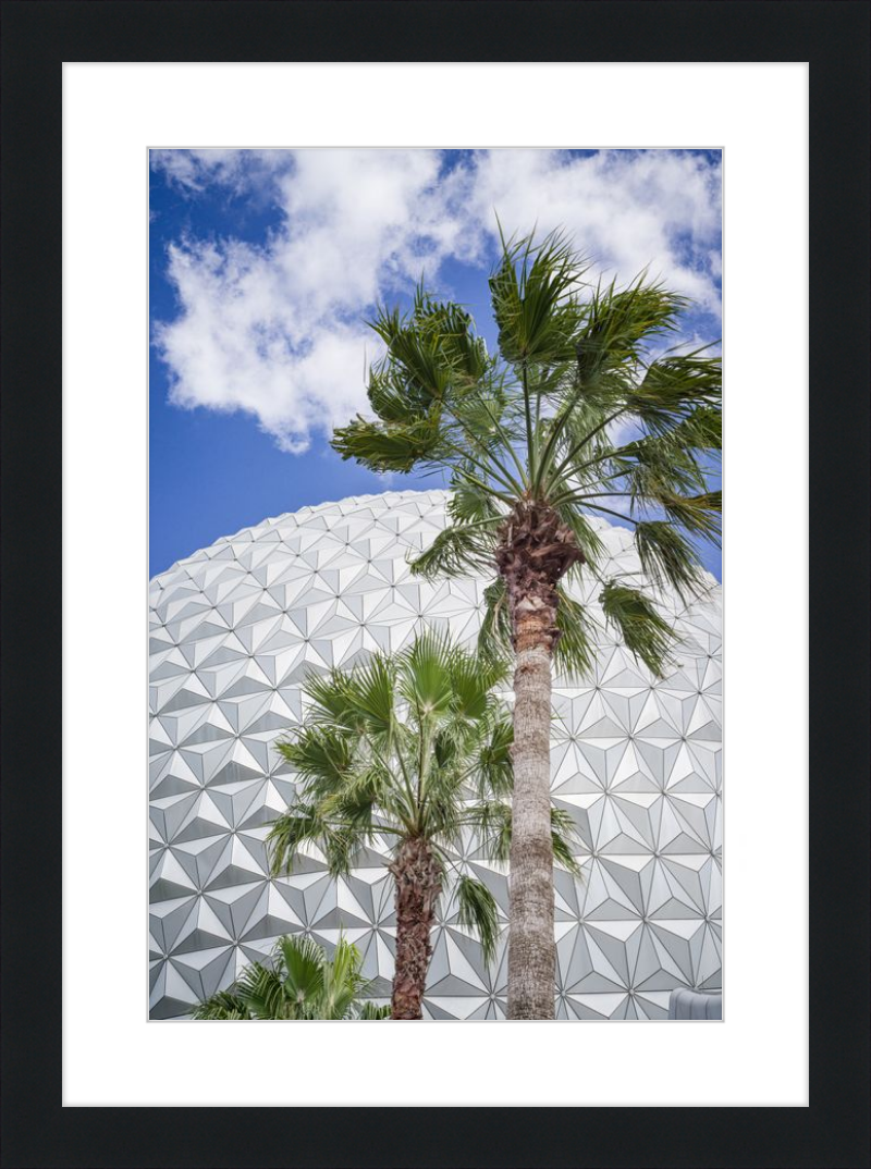 Spaceship Earth with Palms - A Tropical View of EPCOT