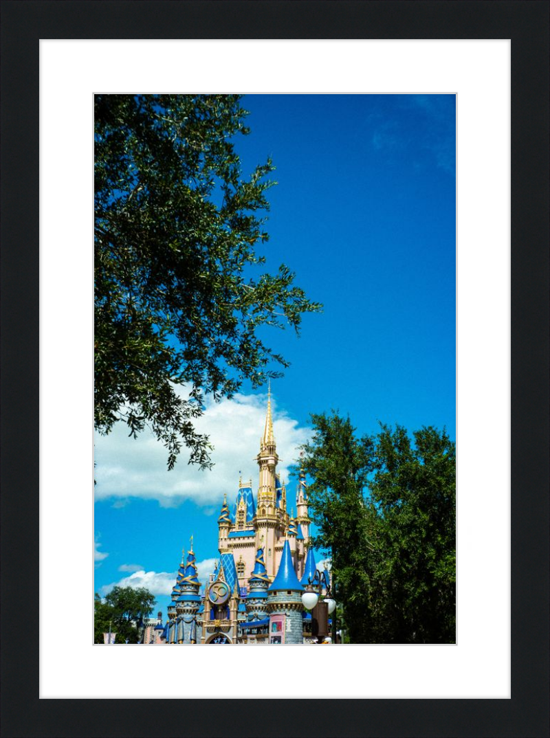 Cinderella Castle - A Magical View