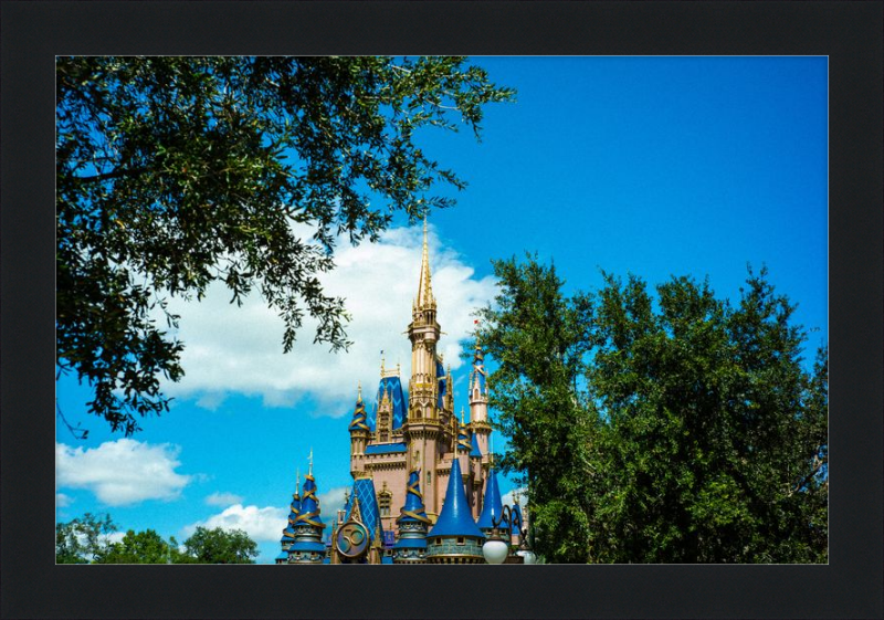 Cinderella Castle - Nature’s Frame