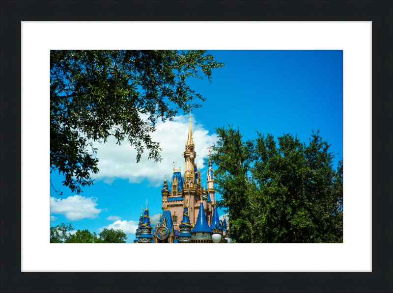 Cinderella Castle - Nature’s Frame