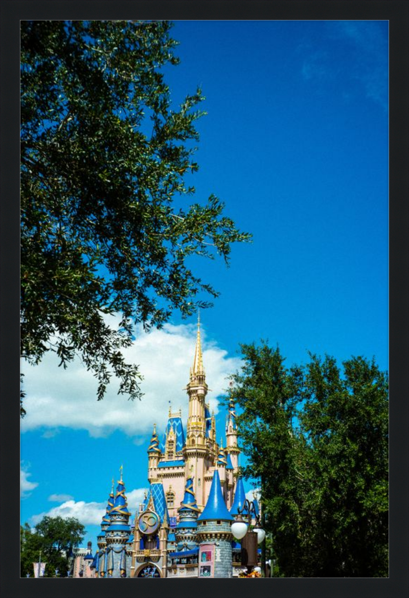 Cinderella Castle - A Magical View