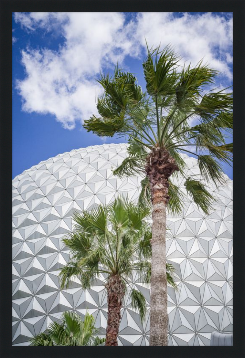 Spaceship Earth with Palms - A Tropical View of EPCOT