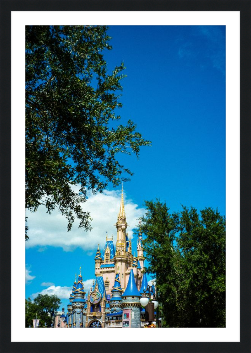 Cinderella Castle - A Magical View