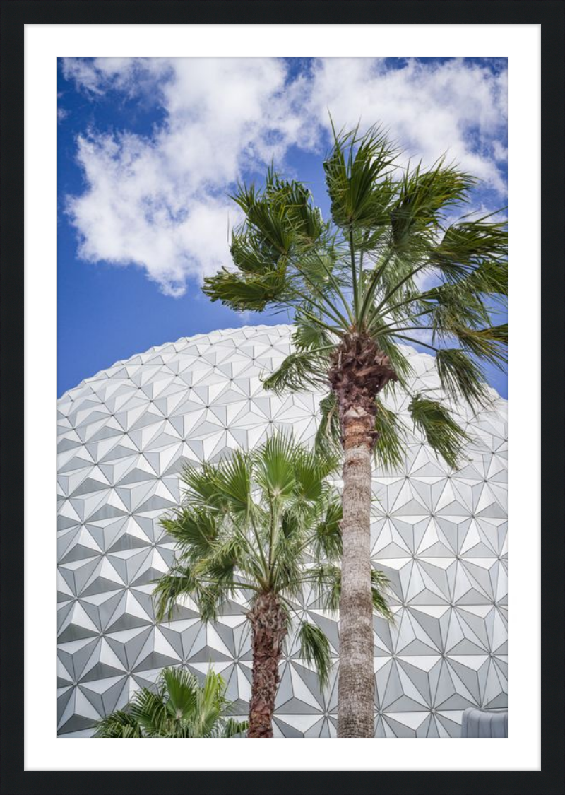 Spaceship Earth with Palms - A Tropical View of EPCOT