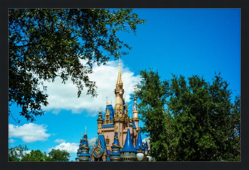 Cinderella Castle - Nature’s Frame