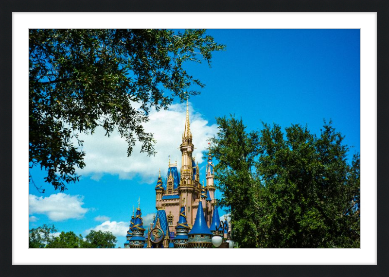 Cinderella Castle - Nature’s Frame