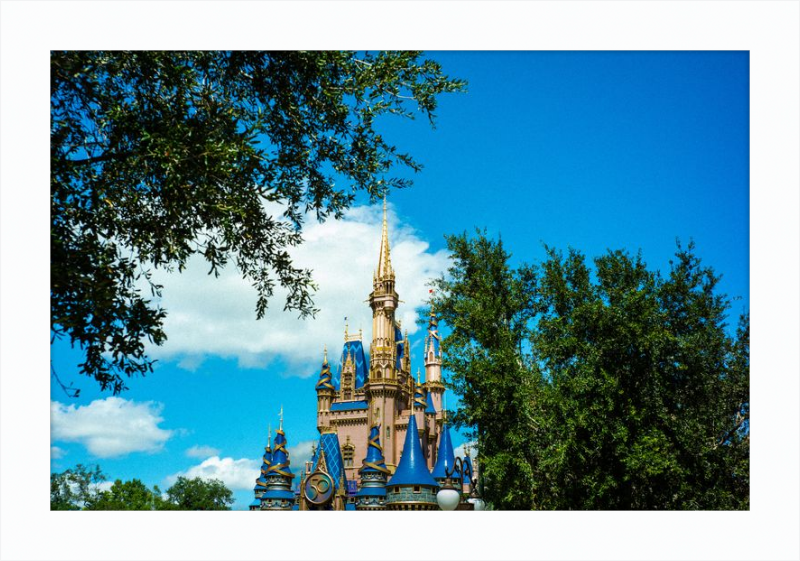 Cinderella Castle - Nature’s Frame