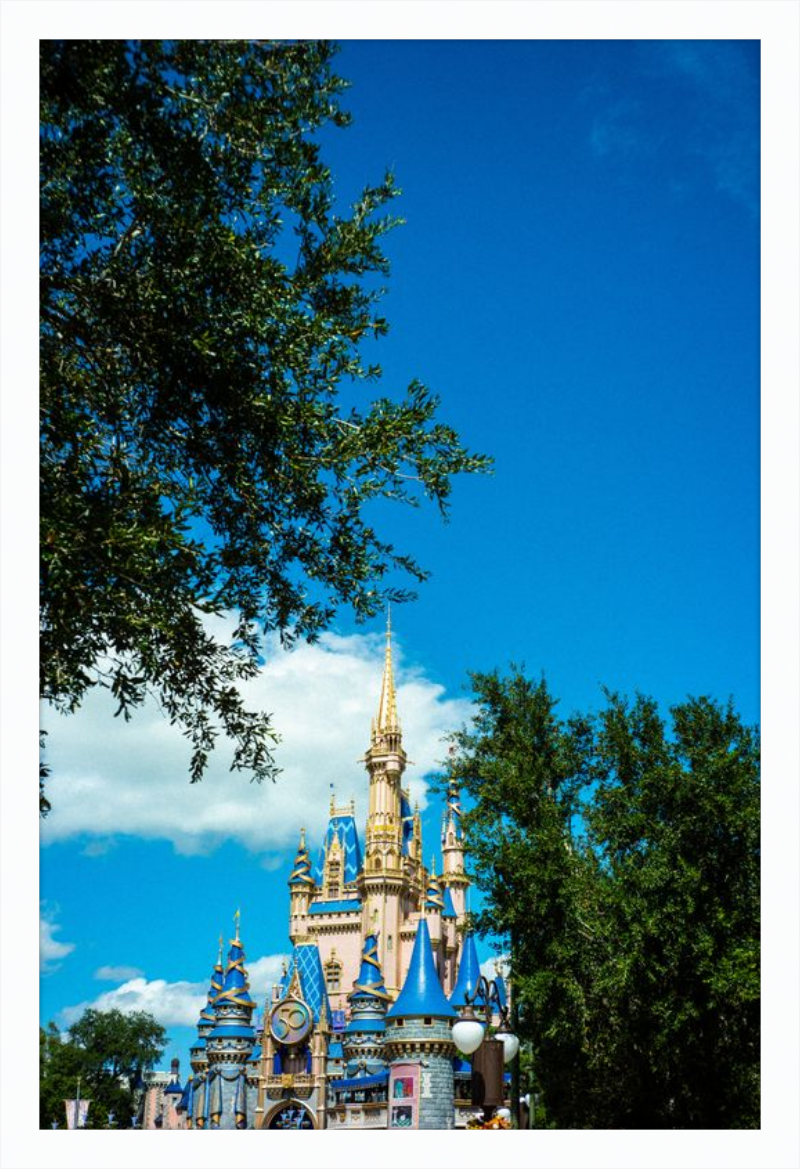 Cinderella Castle - A Magical View