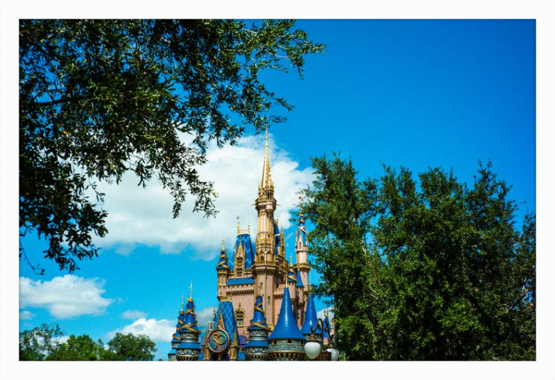 Cinderella Castle - Nature’s Frame