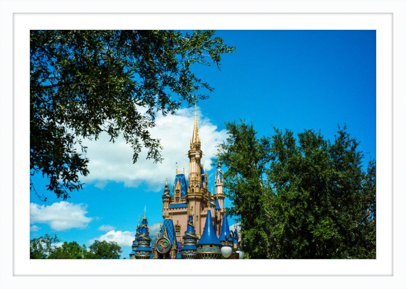 Cinderella Castle - Nature’s Frame