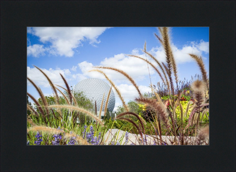 Spaceship Earth - EPCOT from the Gardens