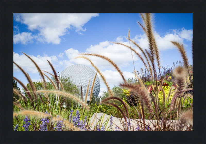 Spaceship Earth - EPCOT from the Gardens