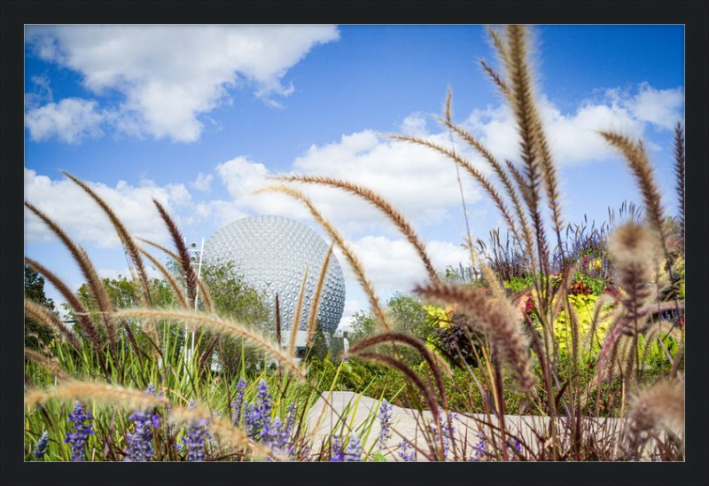 Spaceship Earth - EPCOT from the Gardens