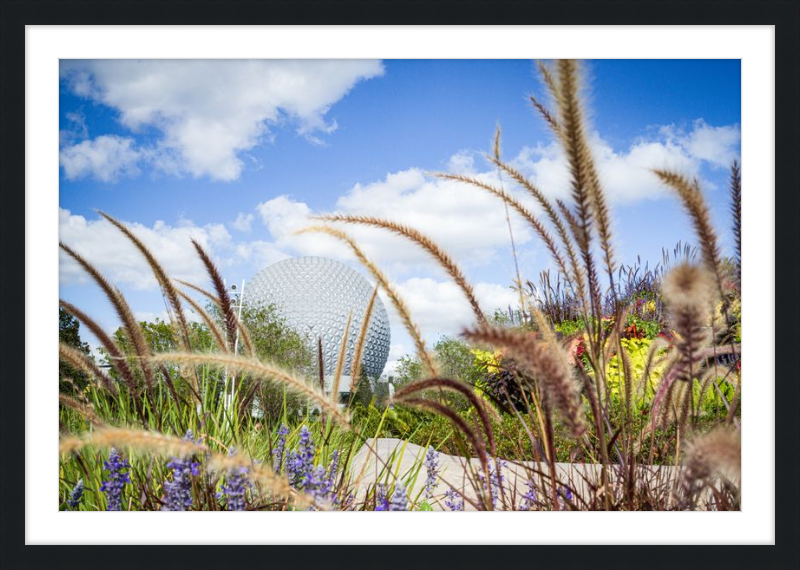 Spaceship Earth - EPCOT from the Gardens