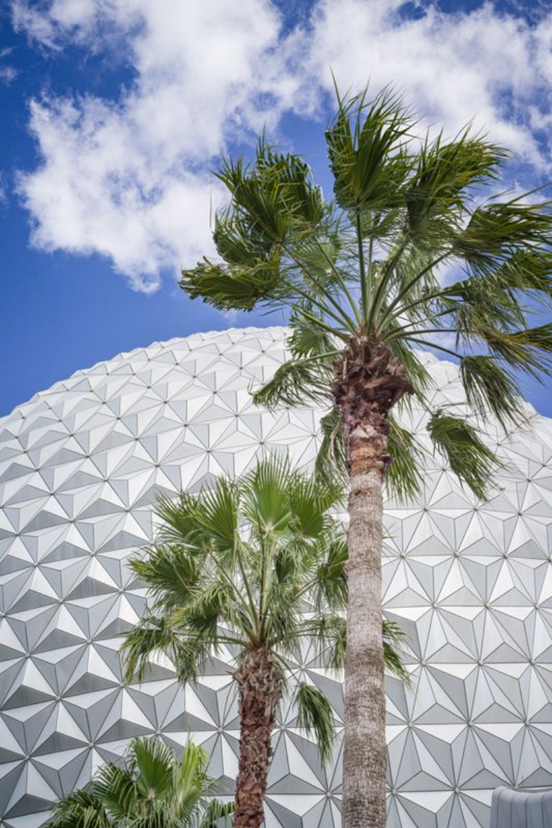 Spaceship Earth with Palms - A Tropical View of EPCOT