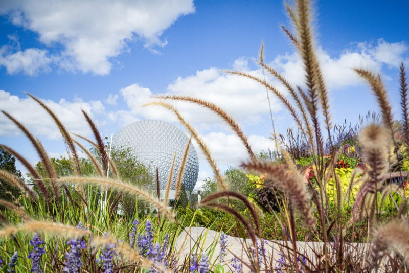 Spaceship Earth - EPCOT from the Gardens