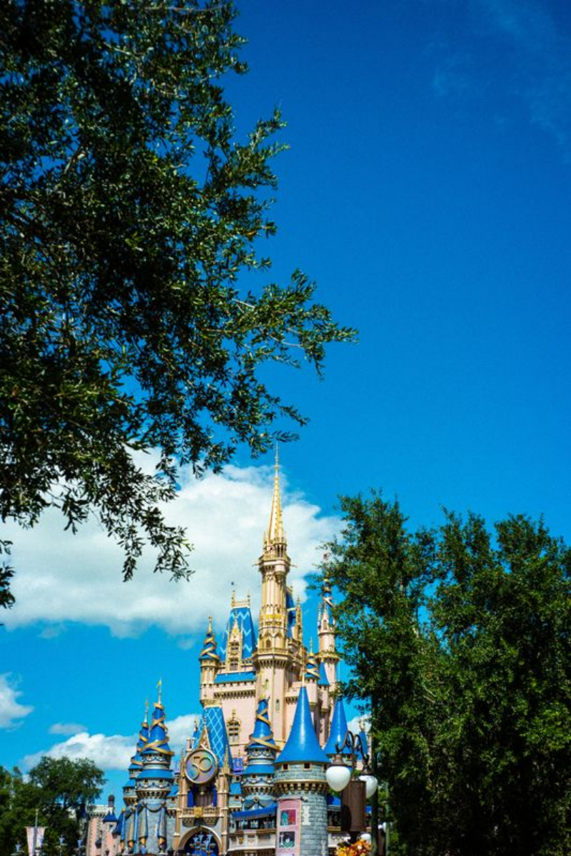 Cinderella Castle - A Magical View