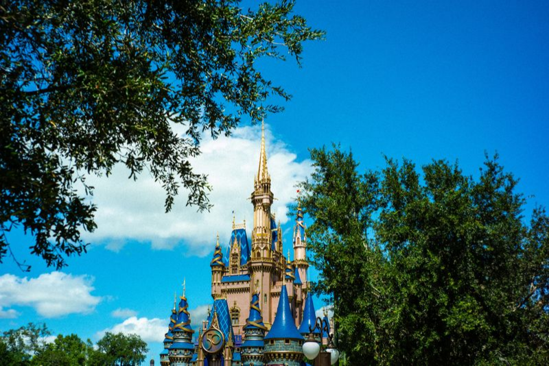 Cinderella Castle - Nature’s Frame